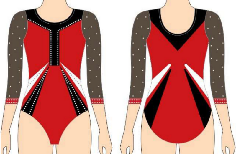 **NEW** AAAsports Girls Long Sleeve Competition Leotard