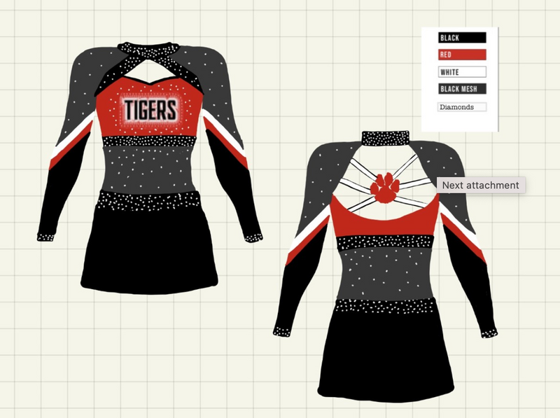 **NEW** AAA TIGERS Cheerleading Kit